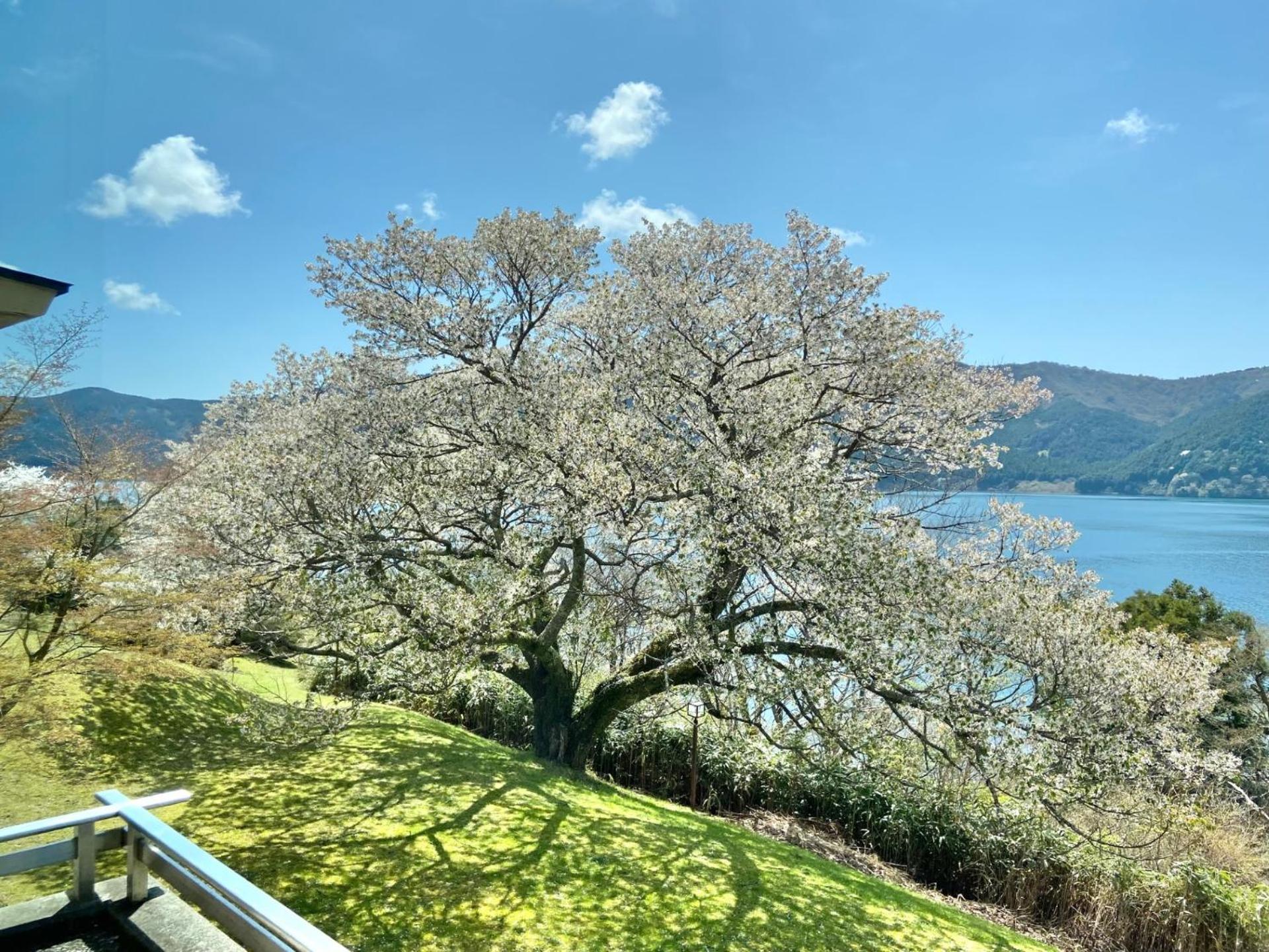 Hotel Ryuguden Hakone Exterior foto